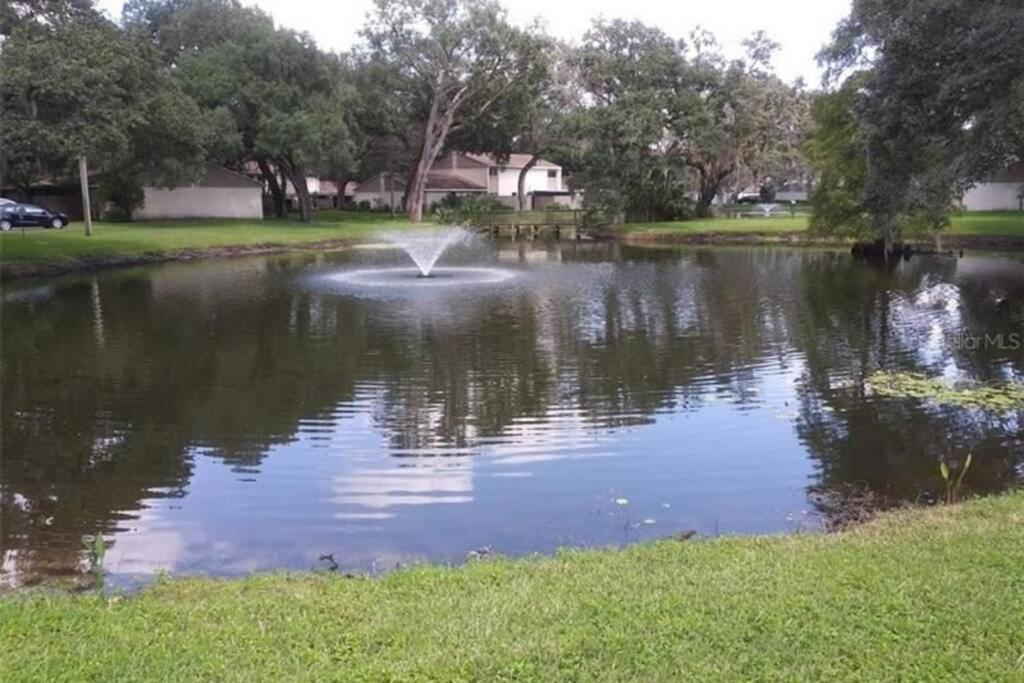 Cozy 3 Bed 2.5 Bath Located Near Busch Gardens Διαμέρισμα Τάμπα Εξωτερικό φωτογραφία